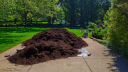 9th May 2022 - Mulch Time