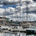 Sutton Harbour.... by cutekitty