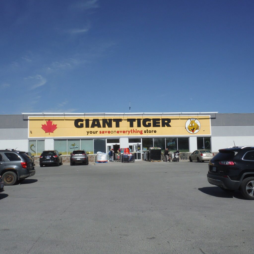 Store #5: Giant Tiger by spanishliz