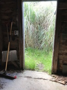 11th May 2022 - Woodshed doorway