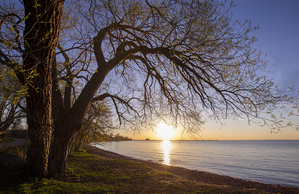 Lakeside Park Sunrise by pdulis