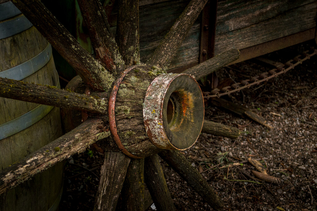 Old Wagon Wheel by cdcook48