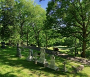 11th May 2022 - Riverside Cemetery 