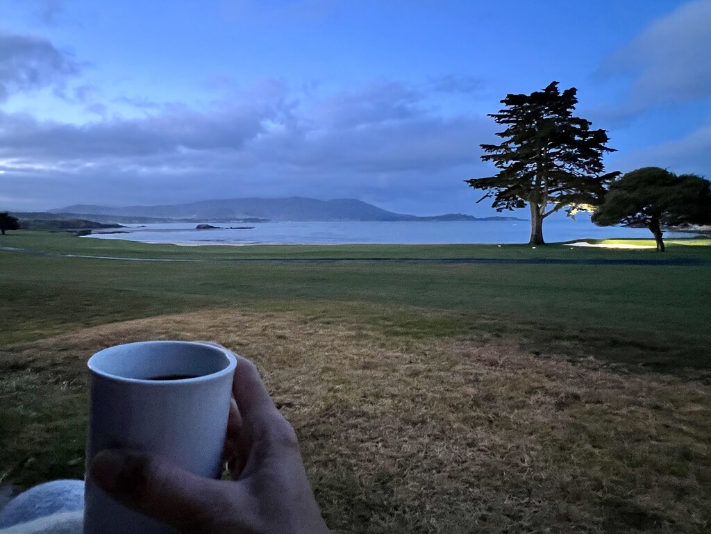 Morning Coffee at Pebble Beach by 2022julieg