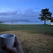 Morning Coffee at Pebble Beach by 2022julieg