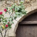 The rose and the door