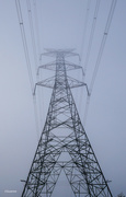 13th May 2022 - Powerlines in the morning mist
