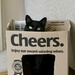 Cats like a box