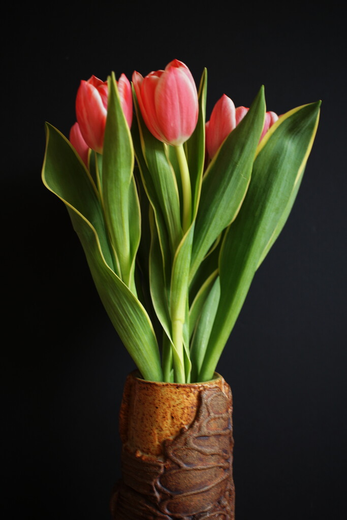 tulips in a pottery vase by quietpurplehaze
