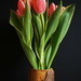 tulips in a pottery vase
