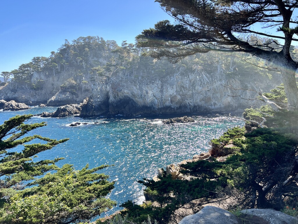 Point Lobos by 2022julieg