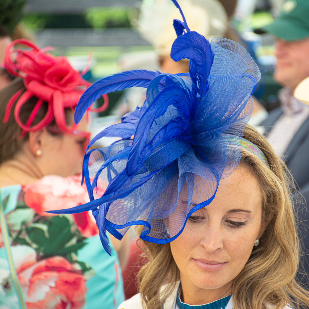 Derby hat... by thewatersphotos