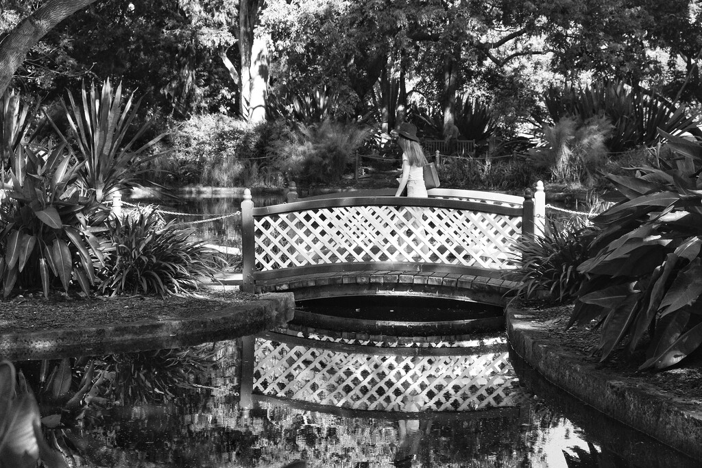 Royal Botanic Gardens, Sydney.  by johnfalconer