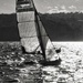Sydney Harbour sailing.  by johnfalconer