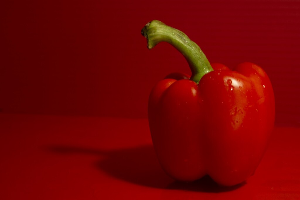 Red Pepper by thedarkroom