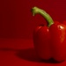 Red Pepper by thedarkroom