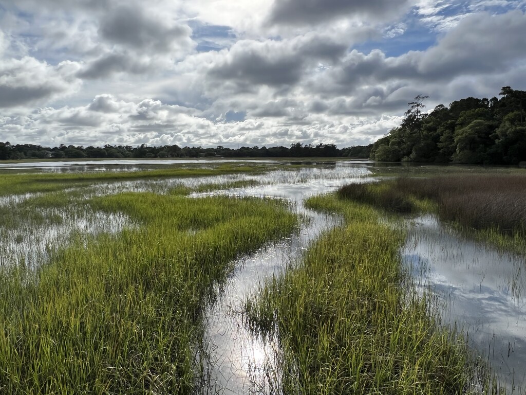 Marsh scene at high tide. by congaree