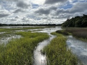 15th May 2022 - Marsh scene at high tide.