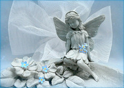12th May 2022 - Forget -me-Not   Fairy. 