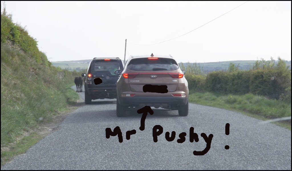 Mr Pushy!!! by ajisaac