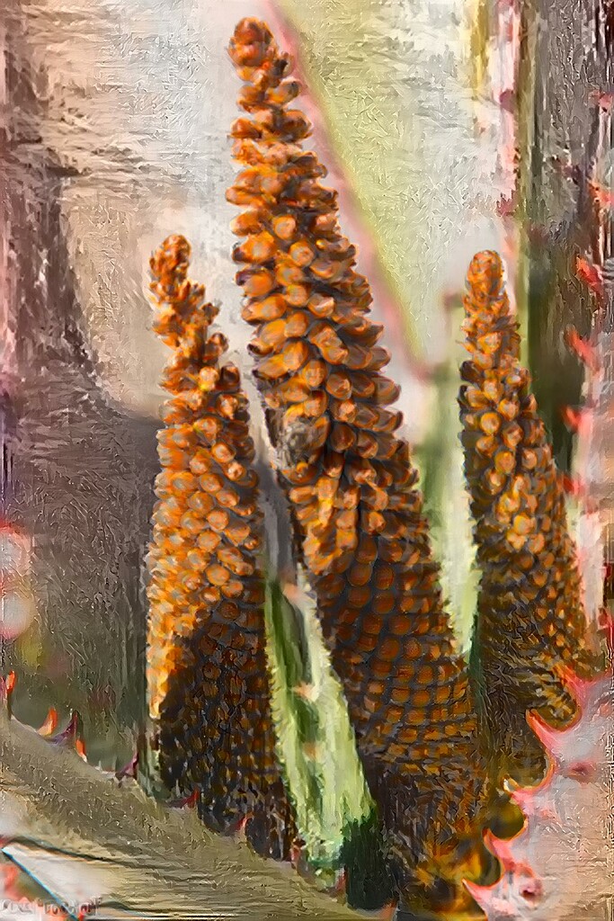 Aloe2 by seacreature