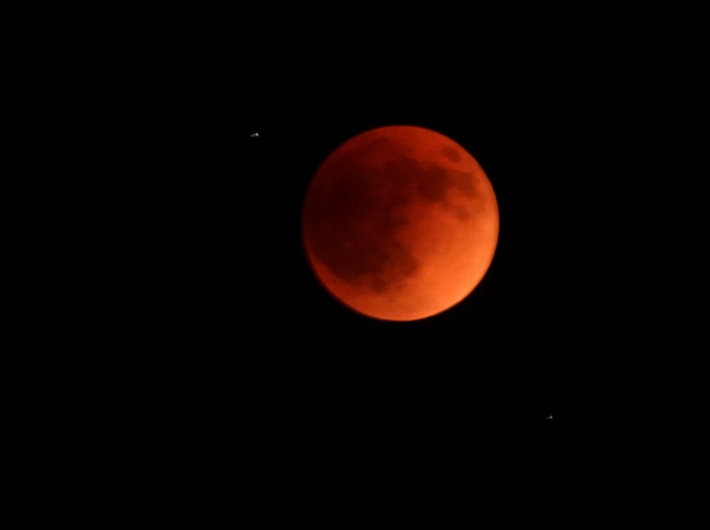 Super Flower Blood Moon Eclipse by lynnz