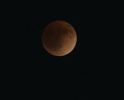 15th May 2022 - LHG_0540Super Blood Moon