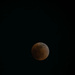  Lunar eclipse by dkellogg