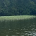 Alabama Water Nature by alabamaambie