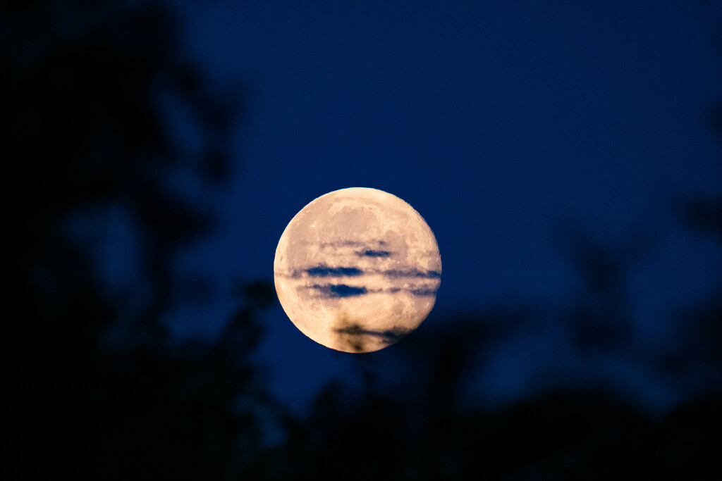 4am moon by stevejacob