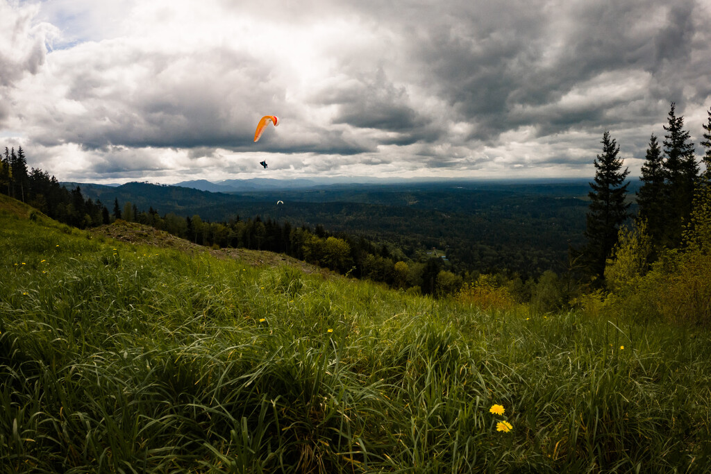 Paragliding by tina_mac