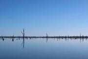 18th May 2022 - Lake Mulwala