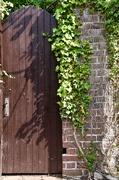 18th May 2022 - Ivy gate