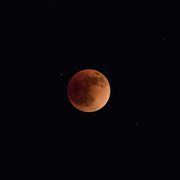 15th May 2022 - Super Flower Blood Moon
