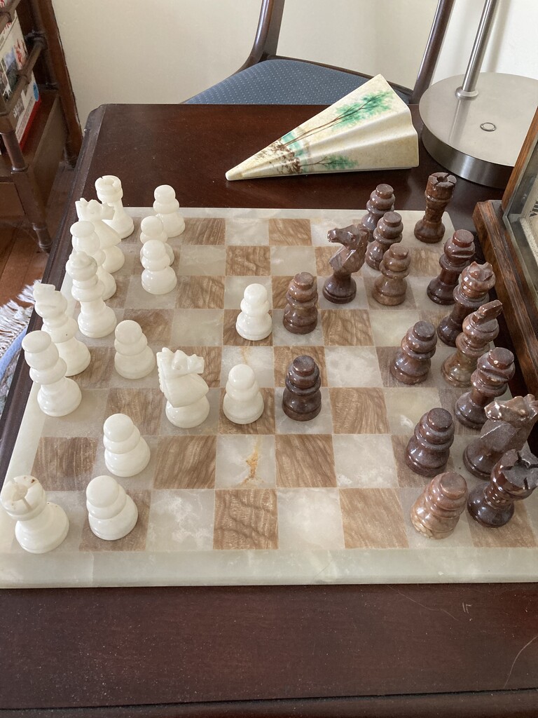 Chess Set  by spanishliz