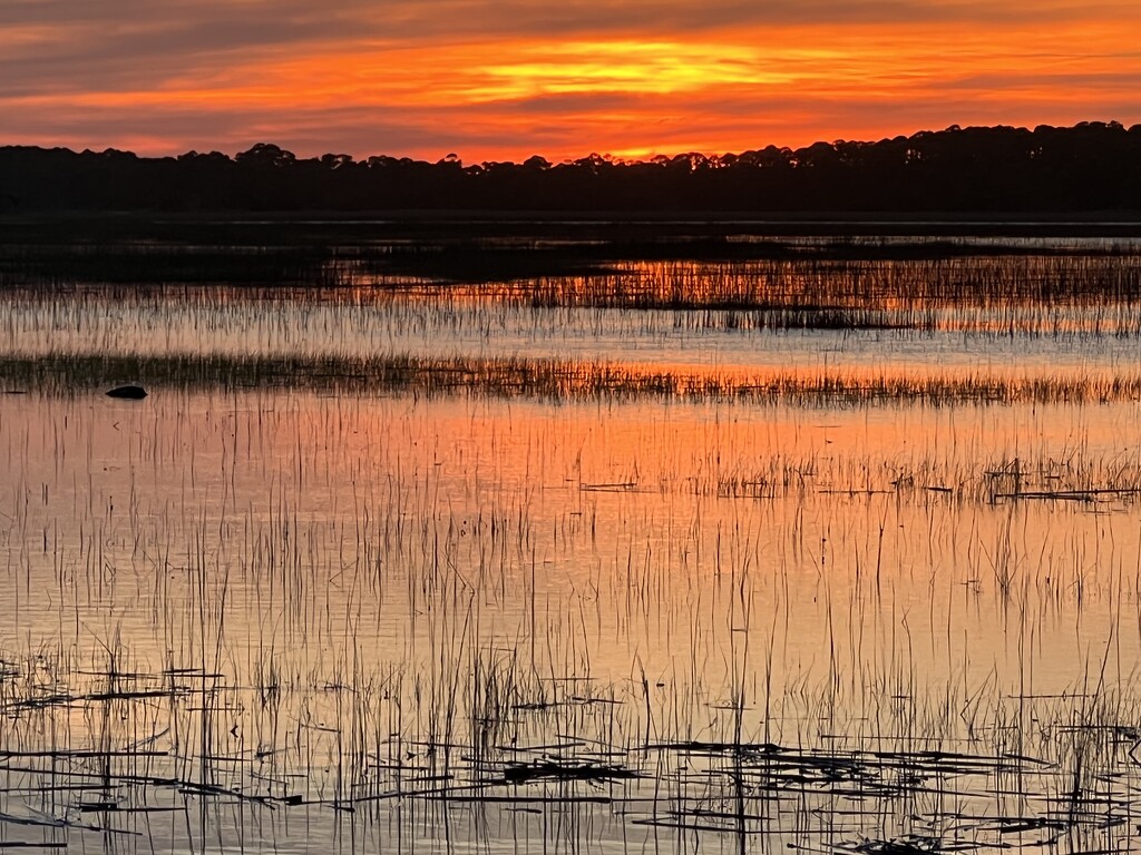 Marsh sunset at high tide by congaree