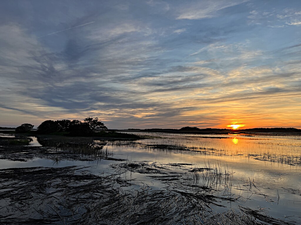 Marsh sunset  by congaree