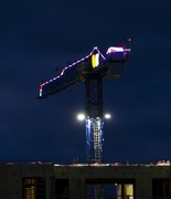 16th May 2022 - Night Crane