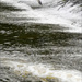 Weir by sanderling