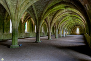 16th May 2022 - Fountains Abbey