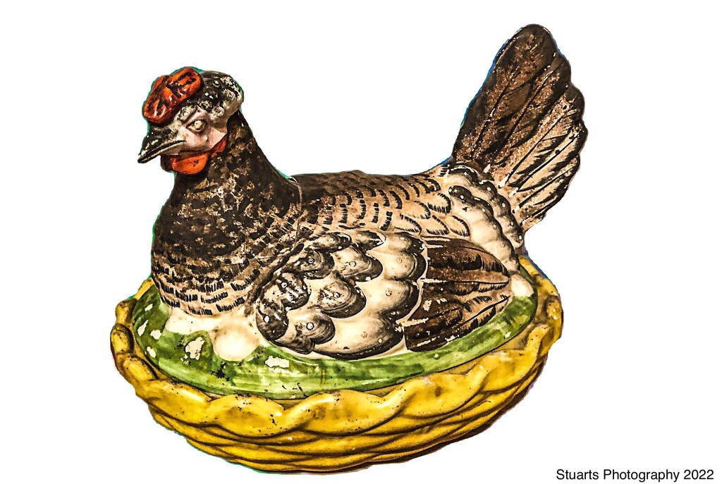 Chicken egg holder  by stuart46