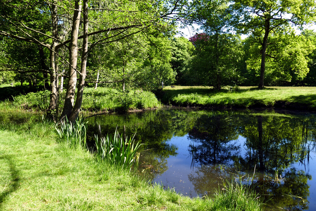 Pond in the parc of estata Beeckenstein by marijbar