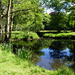 Pond in the parc of estata Beeckenstein