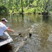 Feeding time on the bayou  by tinley23
