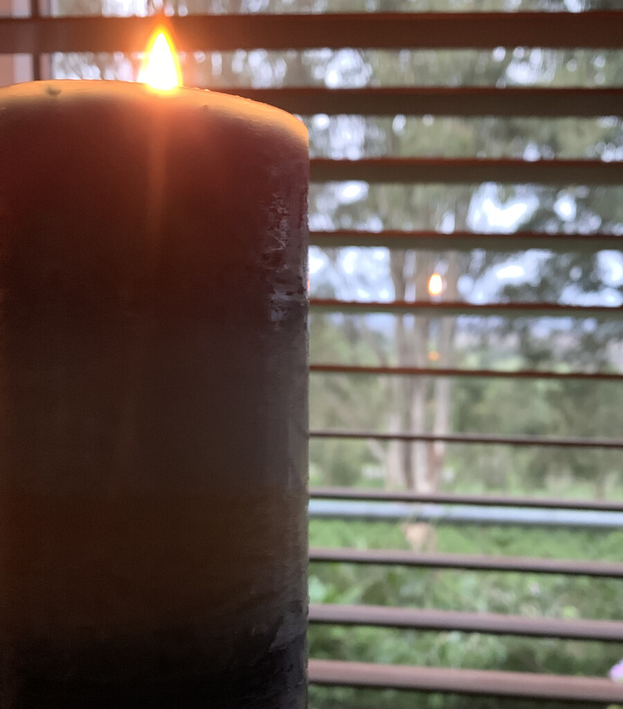 candle halfer by koalagardens