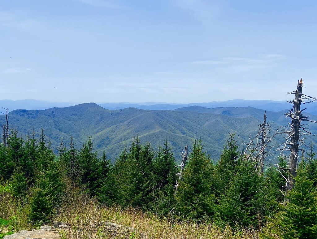 View from Mt. Mitchell by 365canupp