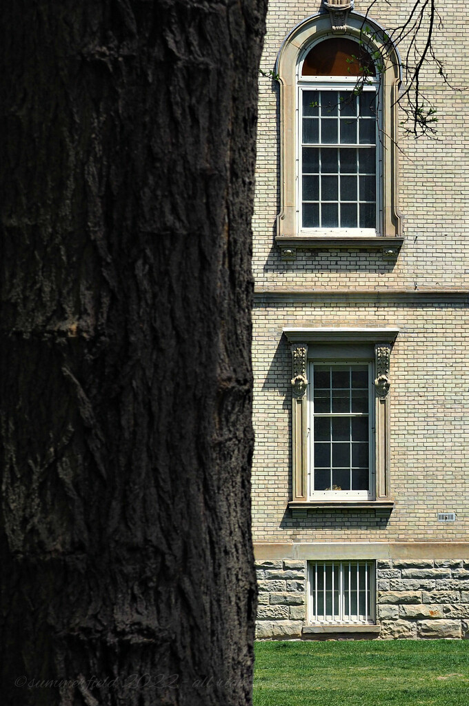 trunks and windows by summerfield
