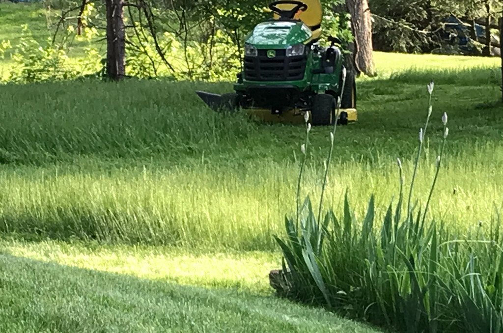 Grass mowing by mittens