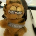 Garfield by spanishliz