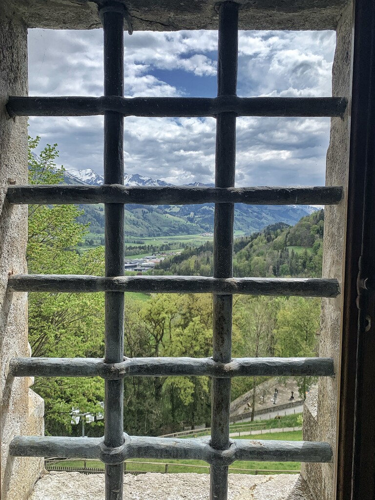 Window of the castle.  by cocobella